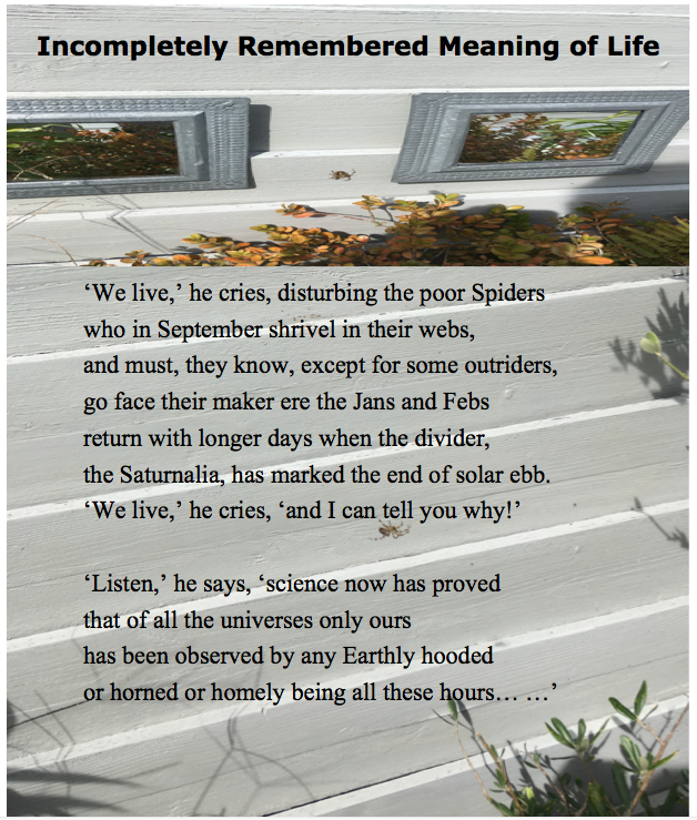 Incompletely Remembered Meaning of Life