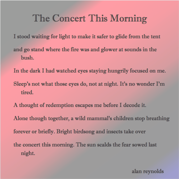 The Concert This Morning